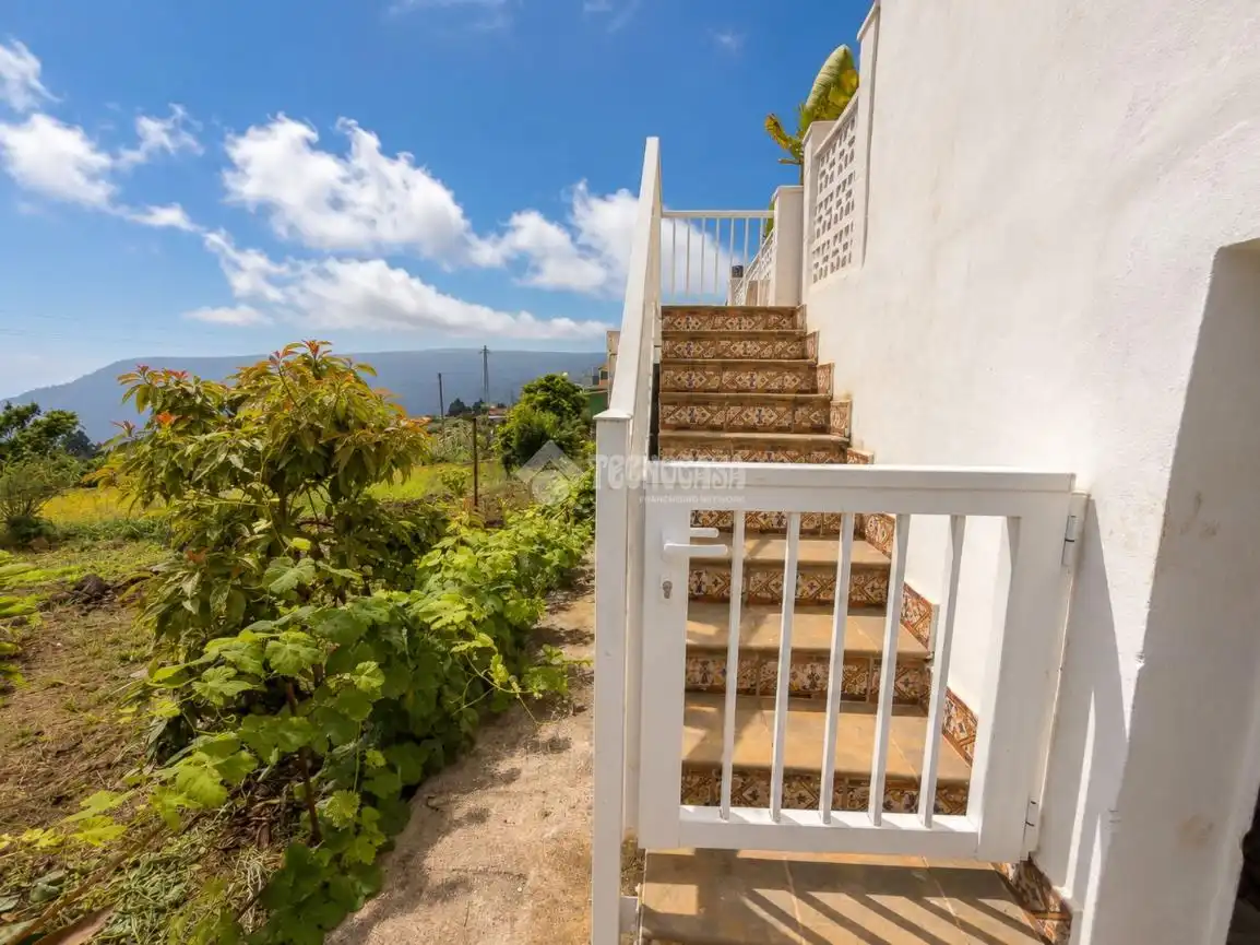 Vista exterior de Casa o chalet en venta en La Orotava con Terraza
