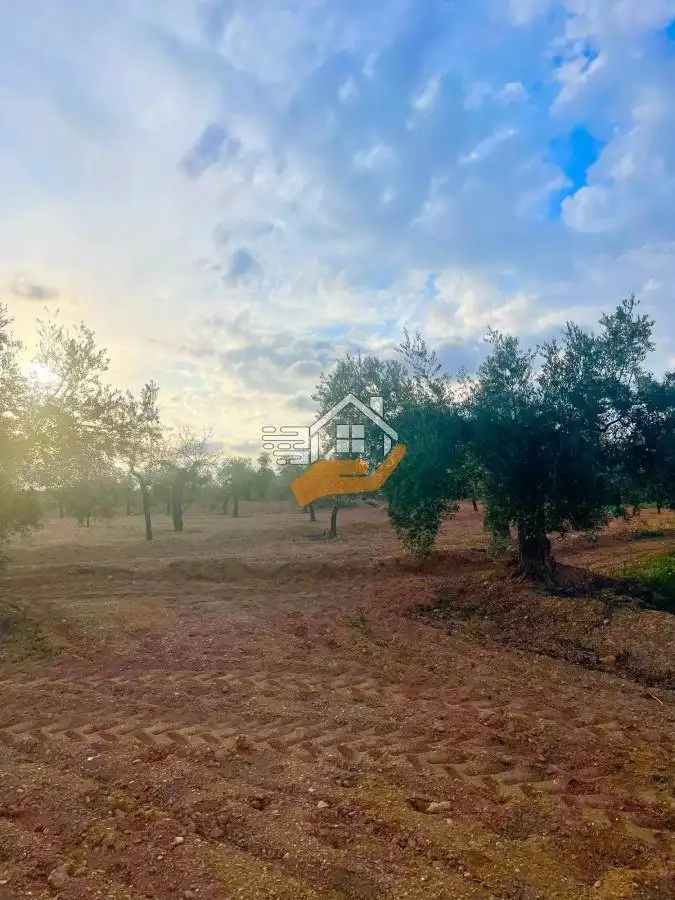 Residential land for sale in Vélez-Rubio, imagen 2