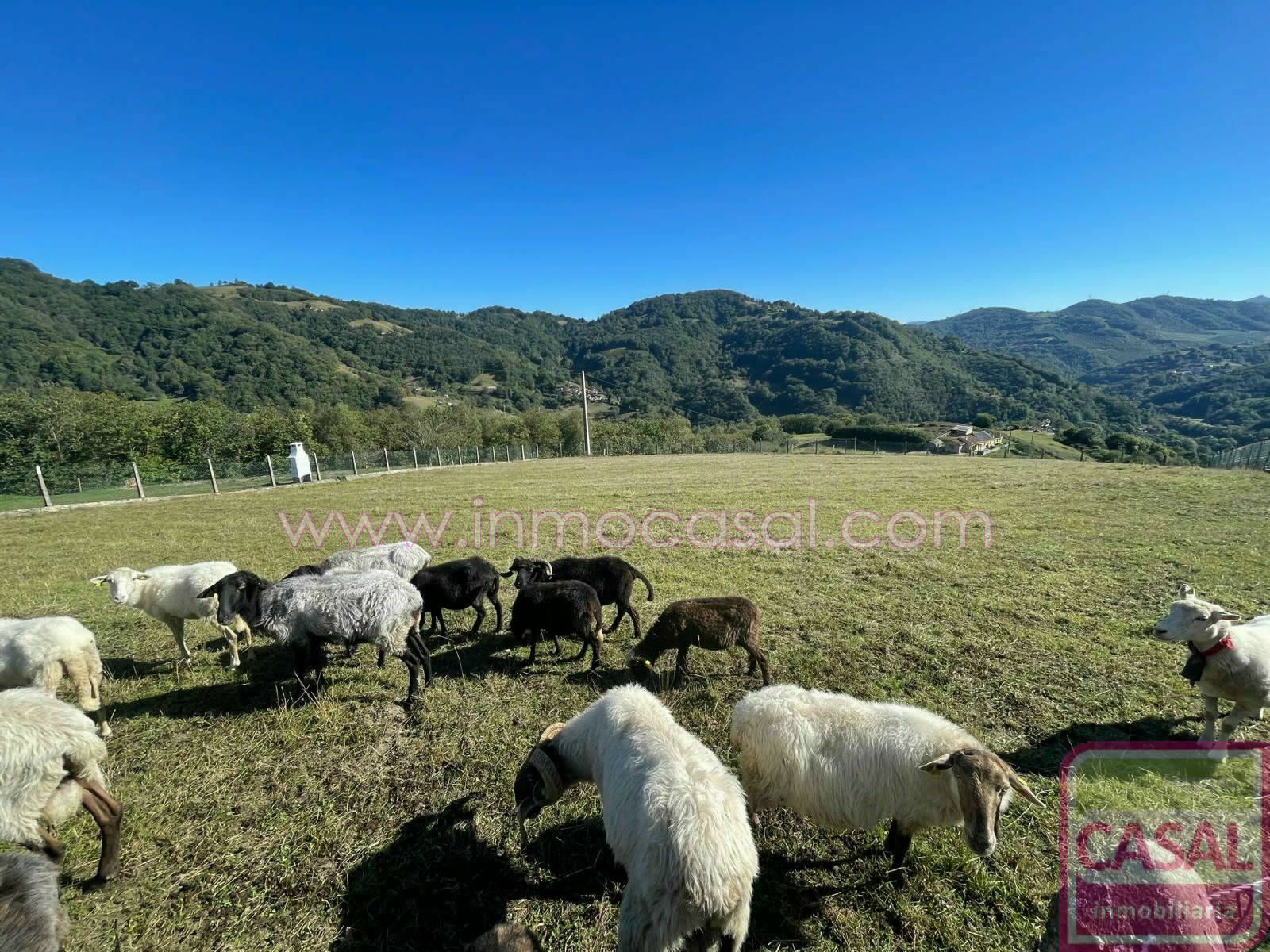 Residencial en venta en Mieres (Asturias)