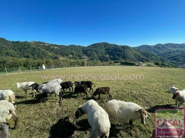 Terrenos y solares en venta en Zona Rural