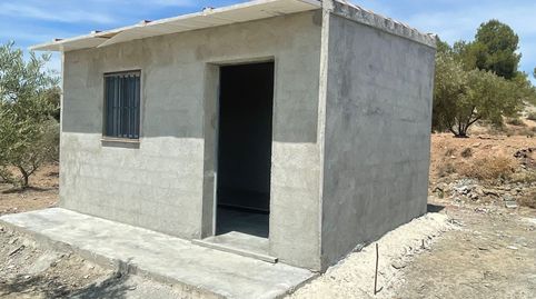 En Venta finca de oliveras con Caseta de Aperos en Cehegin (Murcia)., immagine 2