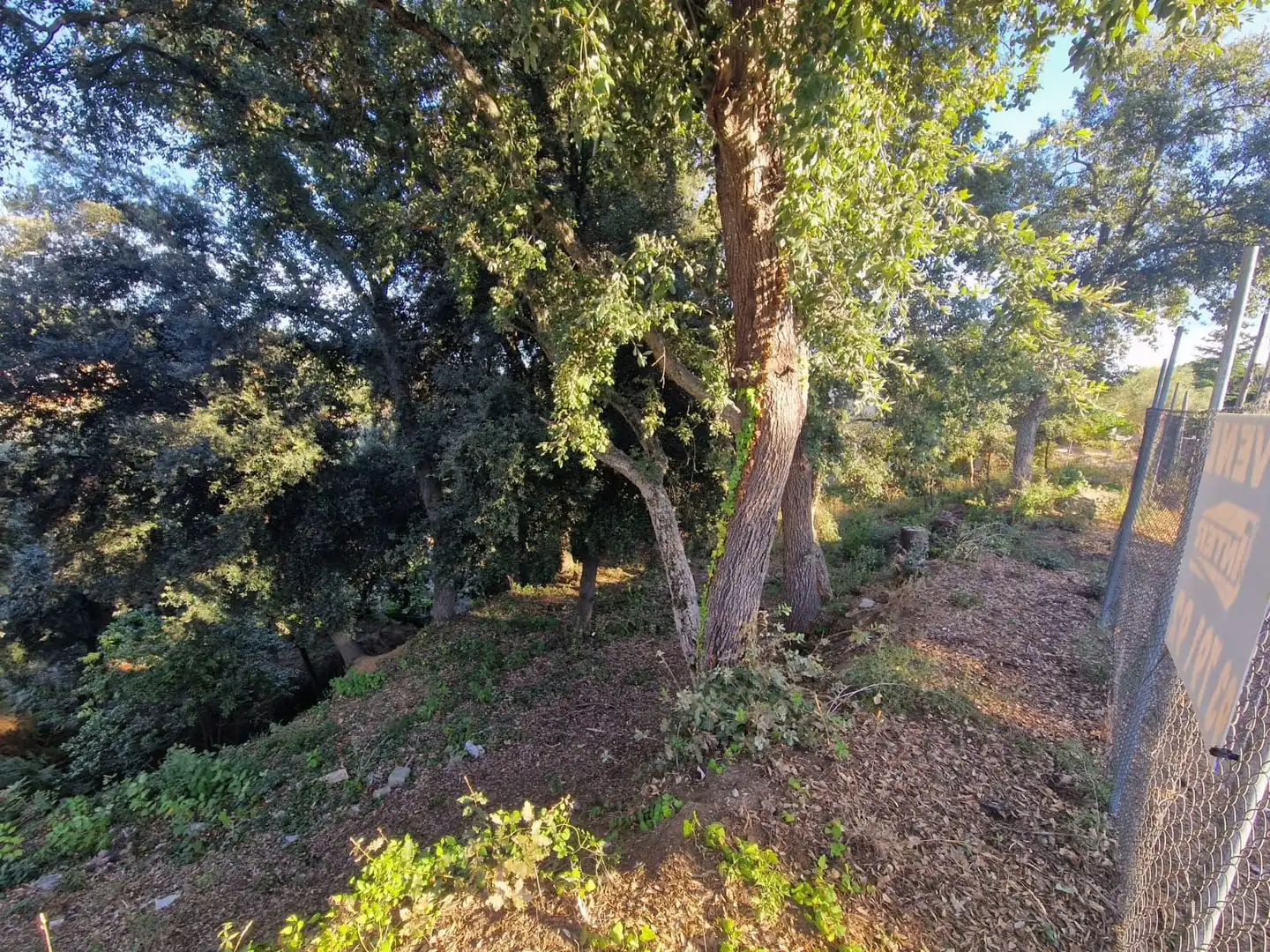 Lands and plots for sale in Can Massuet del Far, imagen 5