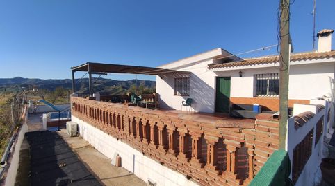 Foto 2 de Finca rústica en venda a Carretera Almarcha/el Borge , Cútar, Málaga