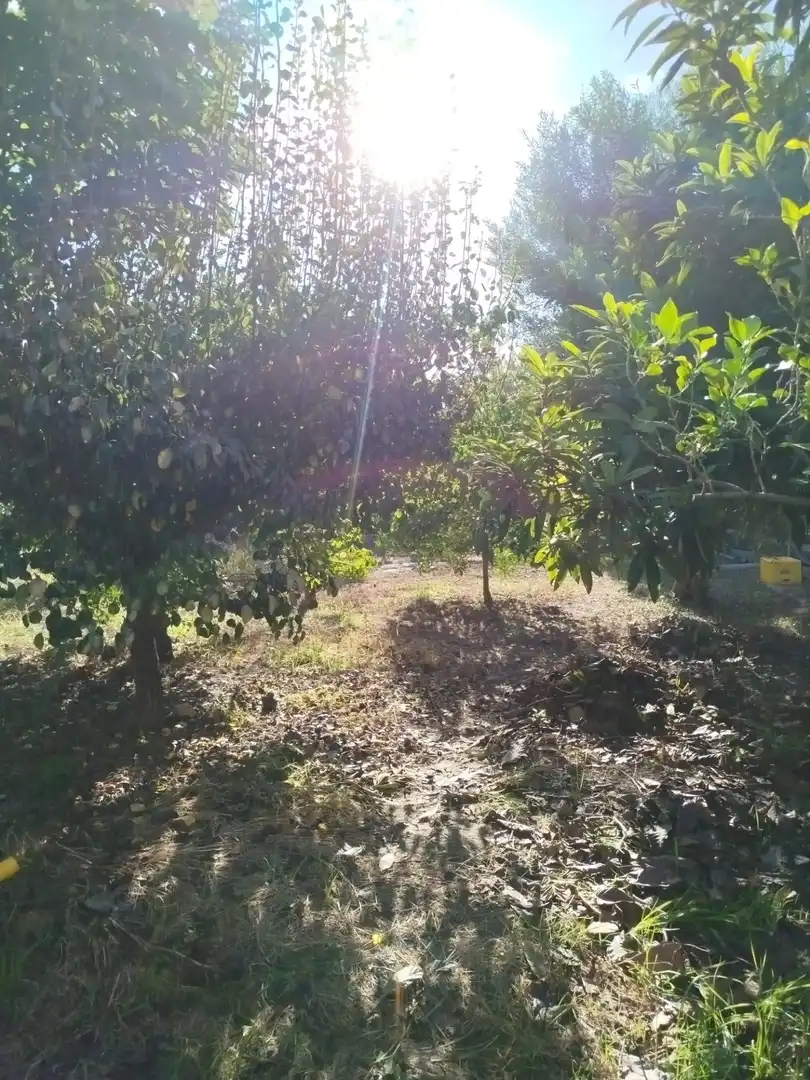 Country homes for sale in Murcia