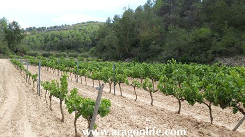Foto 5 de Finca rústica en venta en N-420, Caseres, Tarragona
