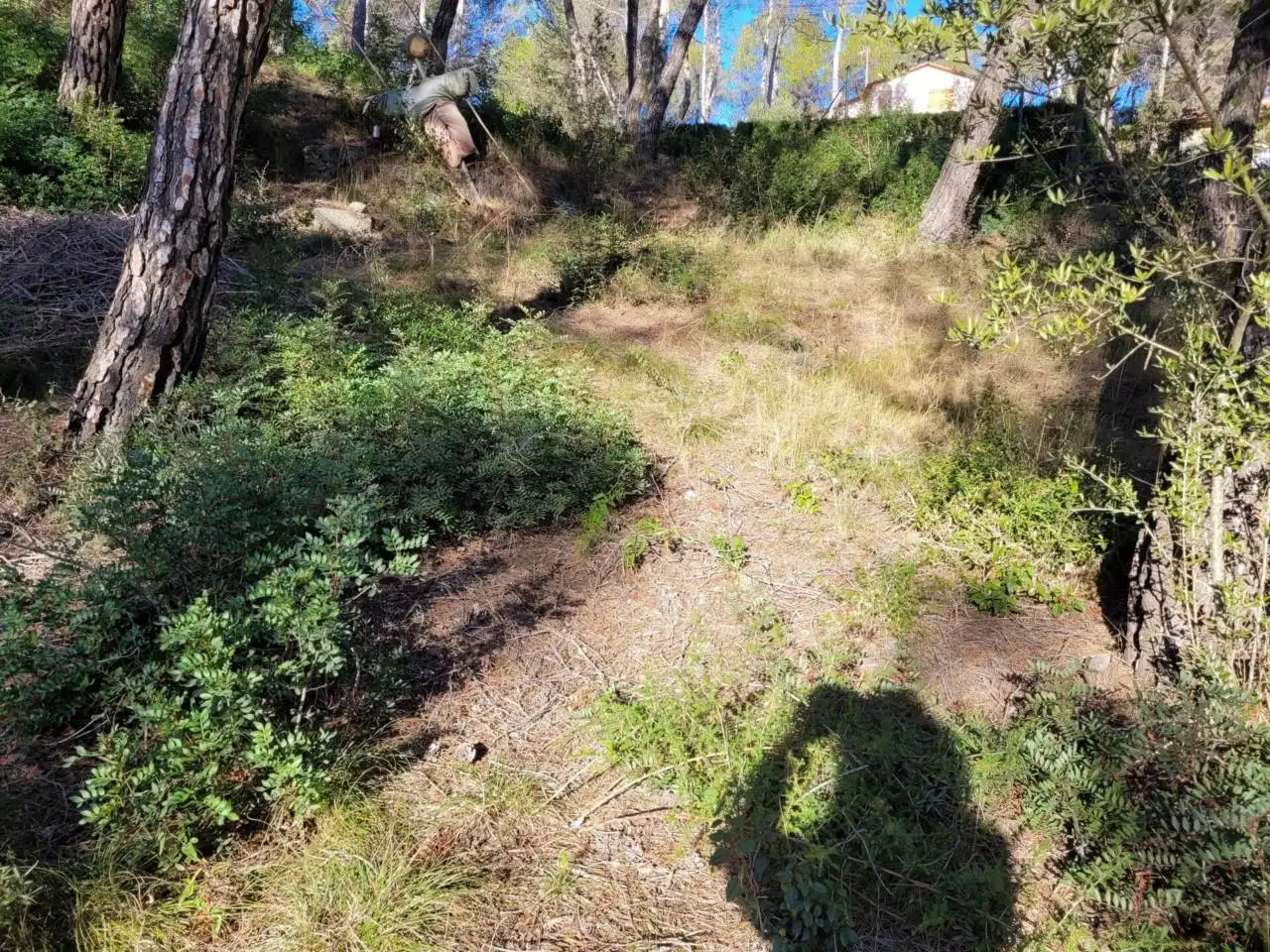 Casa o xalet en venda en Vacarisses amb Aire condicionat, Jardí privat i Piscina