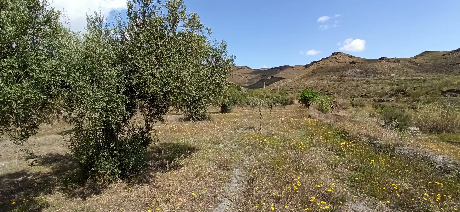 Rustikales Grundstück zum Verkauf in Calle El Almendro 5, imagen 8