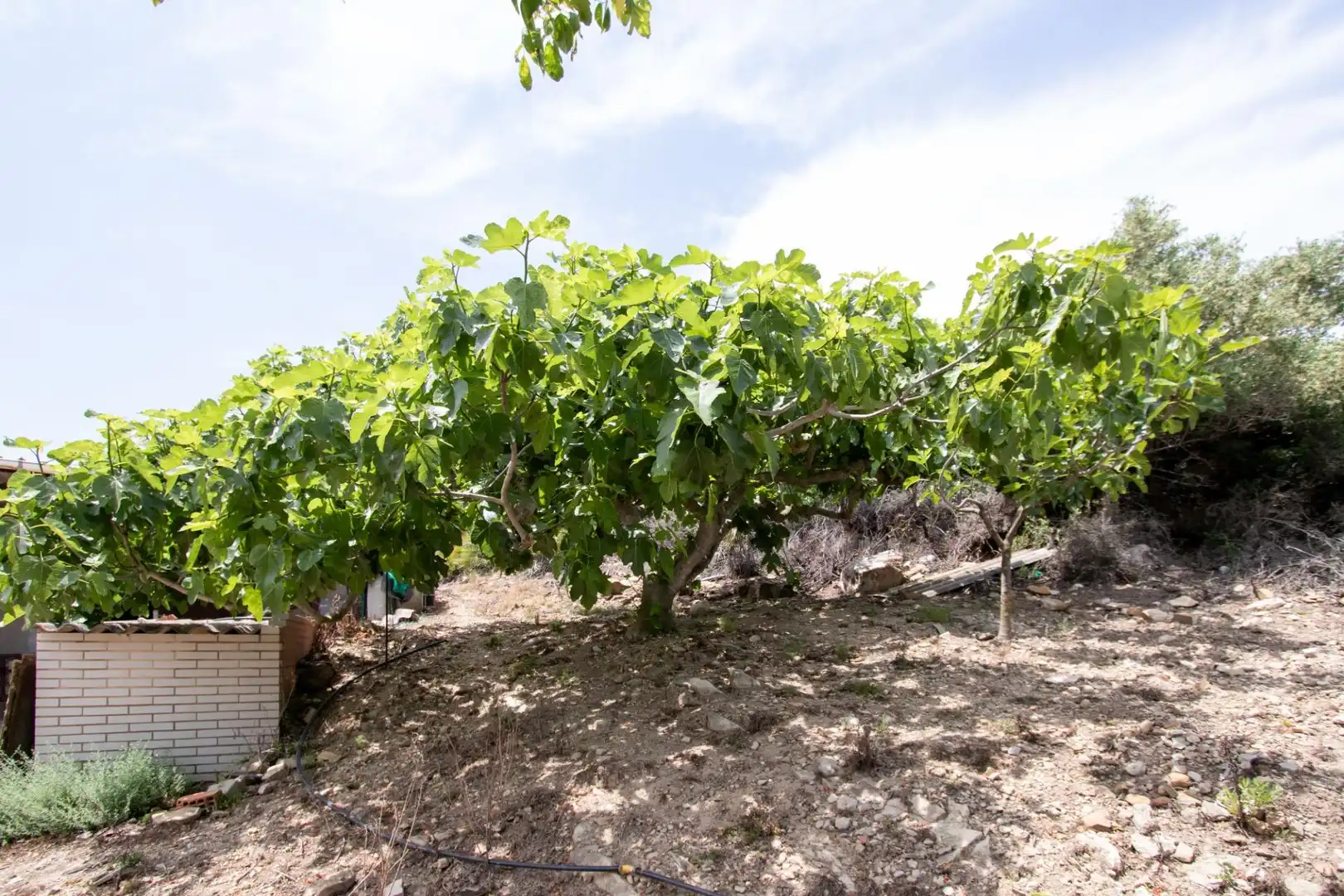 Finca rústica en venda en Benlloc amb Jardí privat, Terrassa i Traster