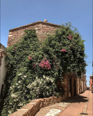 Exterior view of Country house for sale in Vilafamés  with Air Conditioner, Terrace and Balcony