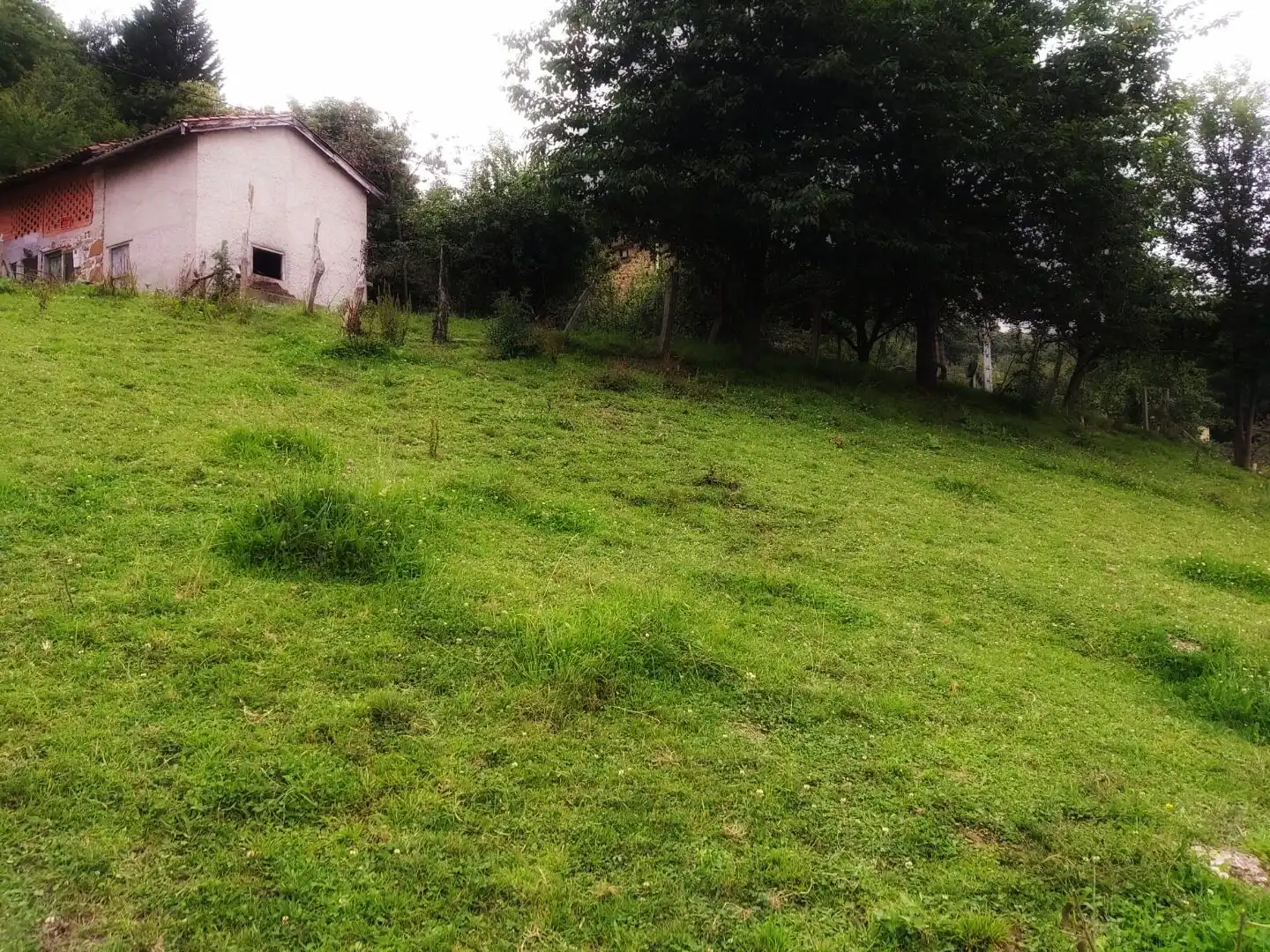 Terreno en venta en Laviana