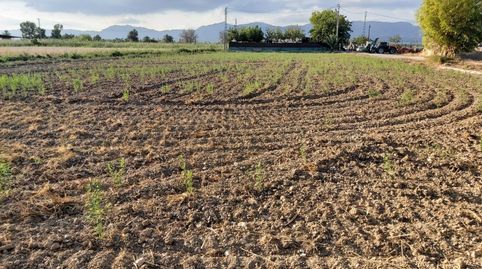 FANTASTICO TERRENO EN CREVILLENTE, ALICANTE, COSTA BLANCA SUR, imatge 4