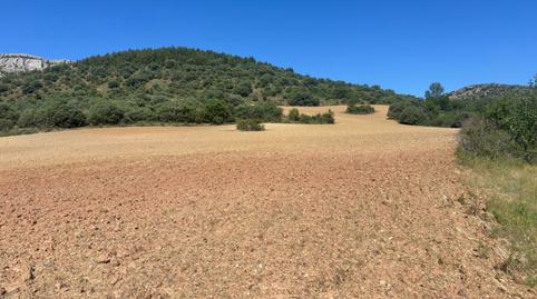 Foto 3 de Terreno en venta en 2 Parcela 270, Bádenas, Teruel