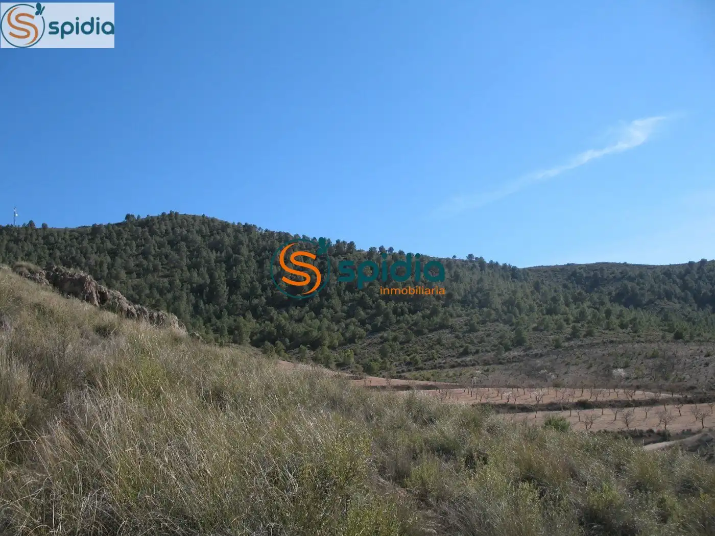 Residential land for sale in Pedanías Norte, imagen 24