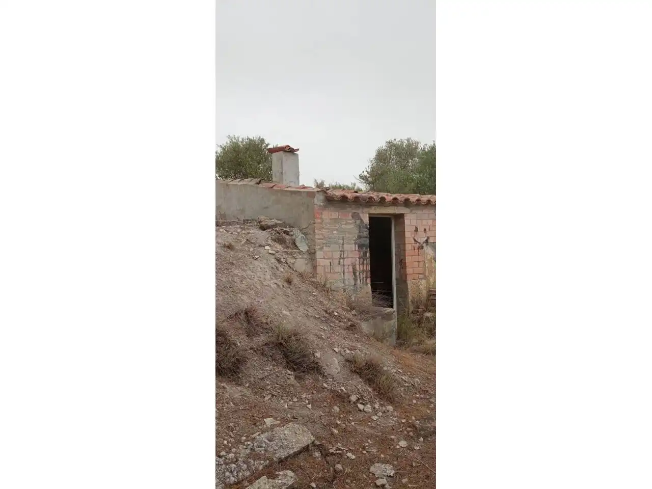Terreny rústic en venda a Calle PARTIDA LA BASSETA DEL BISSELL, imagen 13