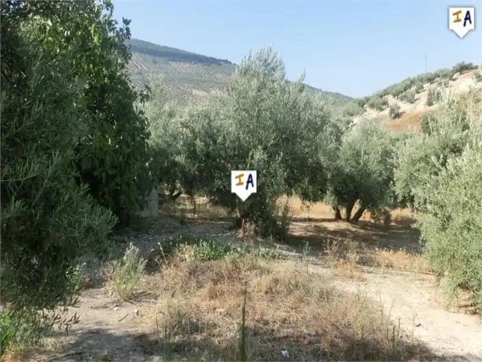 Casa rústica amb piscina en venda a Alcaudete, imagen 6