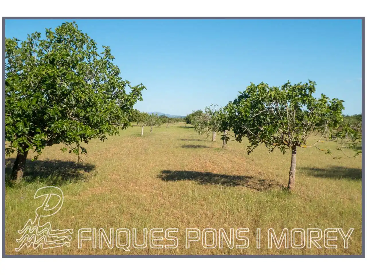 Finca rústica en venda en Campanet