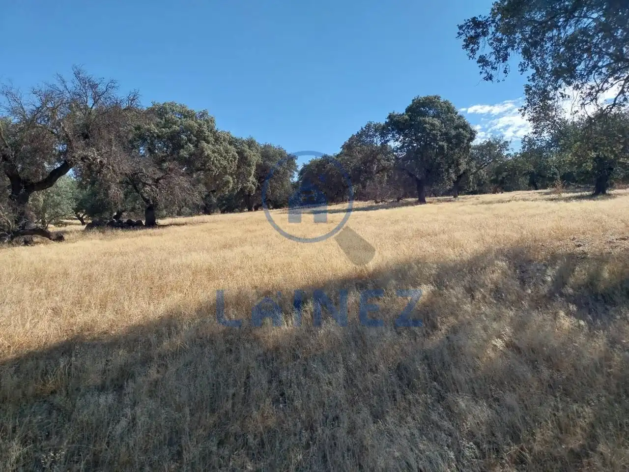 Lands and plots for sale in Fuente Obejuna, imagen 5