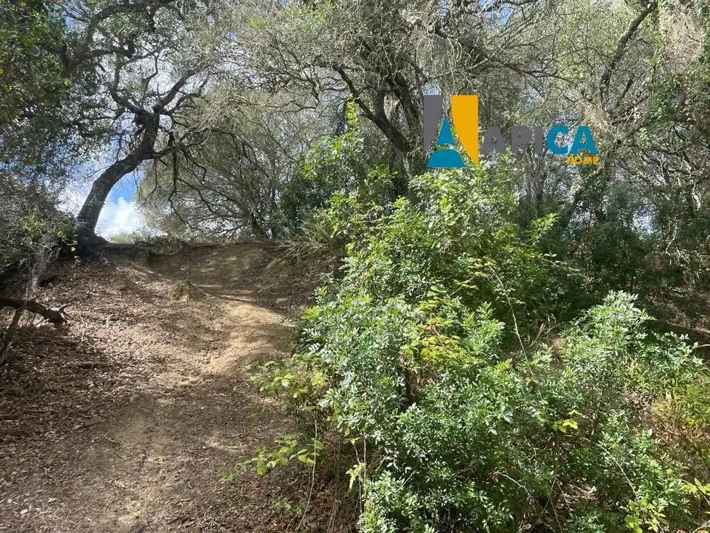 Terreni e lotti in vendita a Vejer, imagen 15
