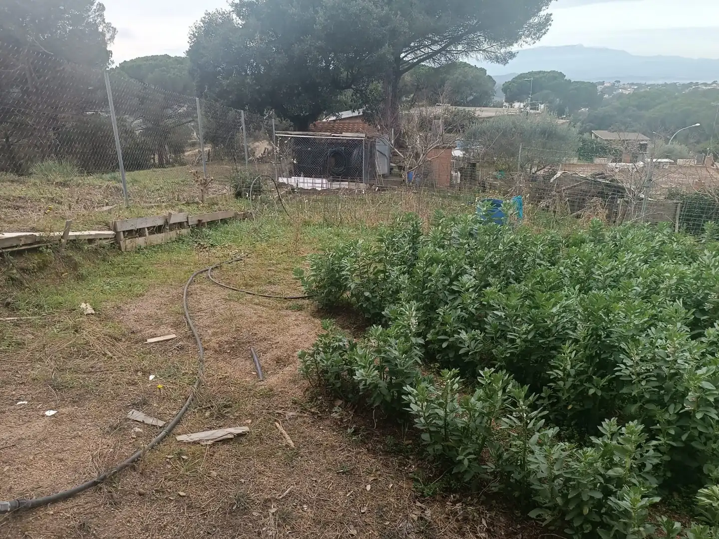 Terreno residencial en venta en Lloret Residencial - Montlloret, imagen 12