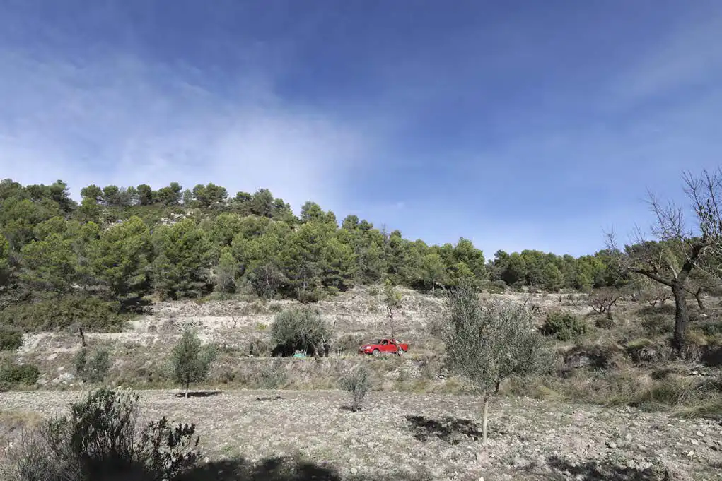 Casa rústica en venta en Torremanzanas / La Torre de les Maçanes, imagen 6