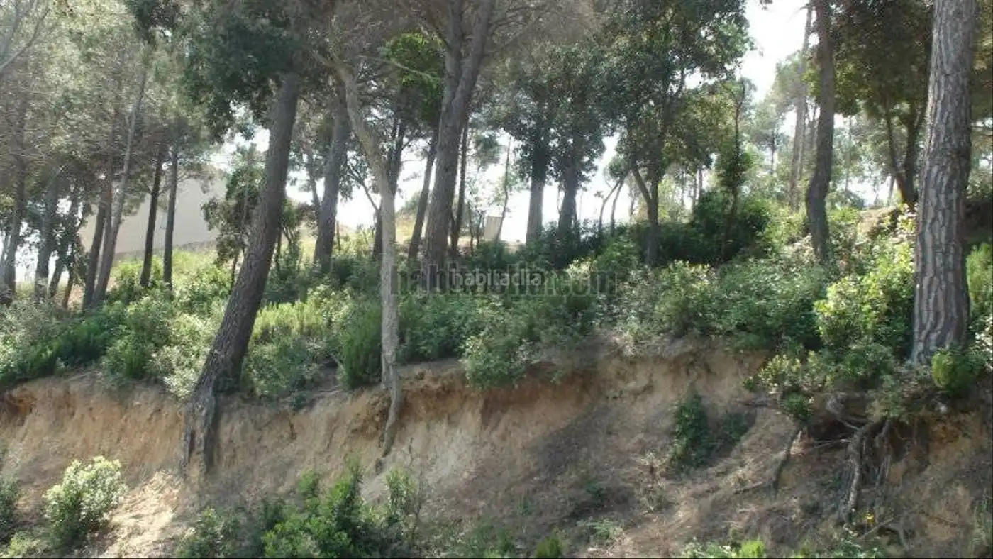 Wohnbaugrundstück zum Verkauf in Carrer de la Pedra 49, imagen 8