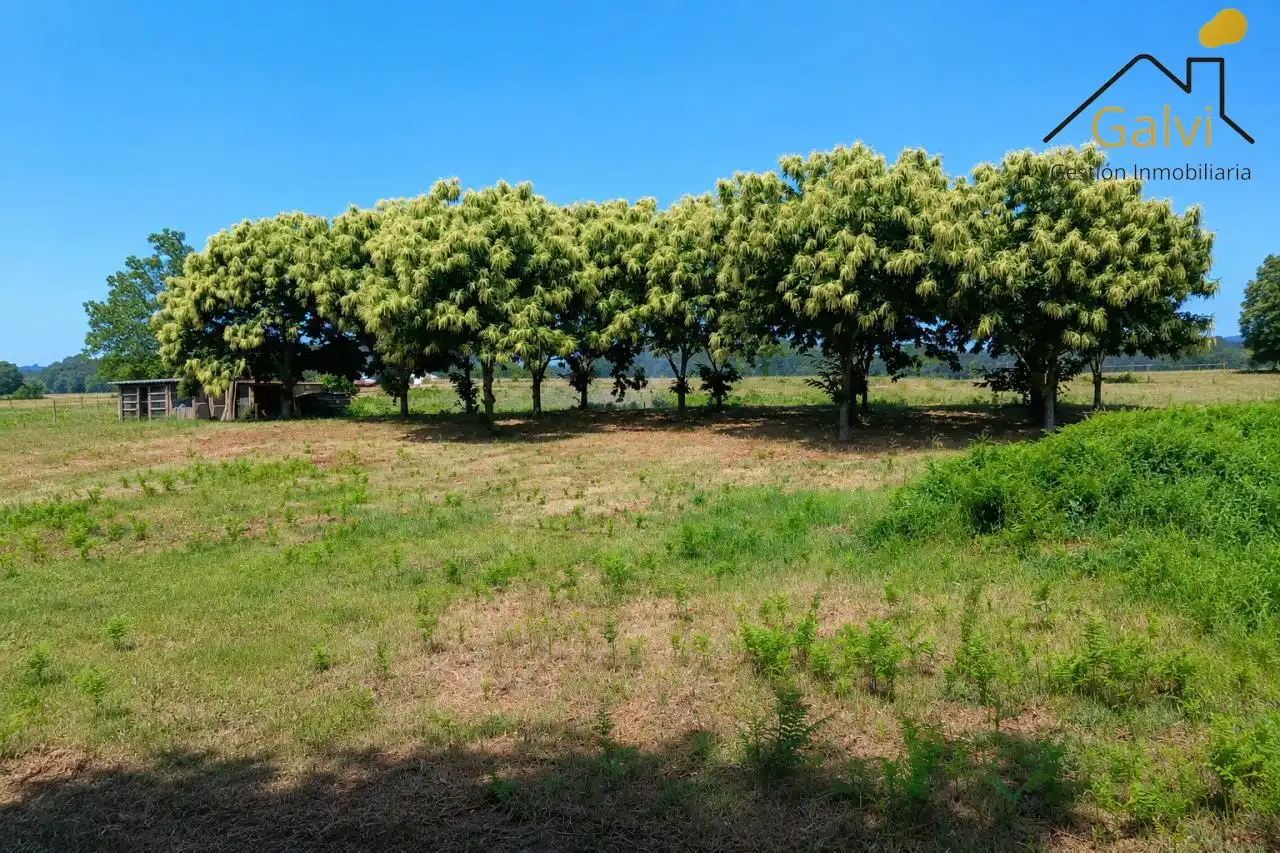 Wohnbaugrundstück zum Verkauf in Abegondo, imagen 5