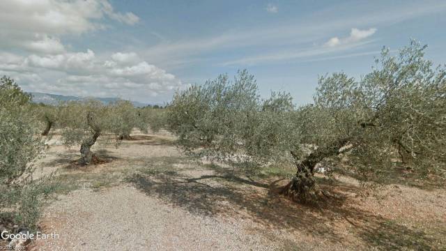 Terreno en Venta en N/A, -1 en Rossell