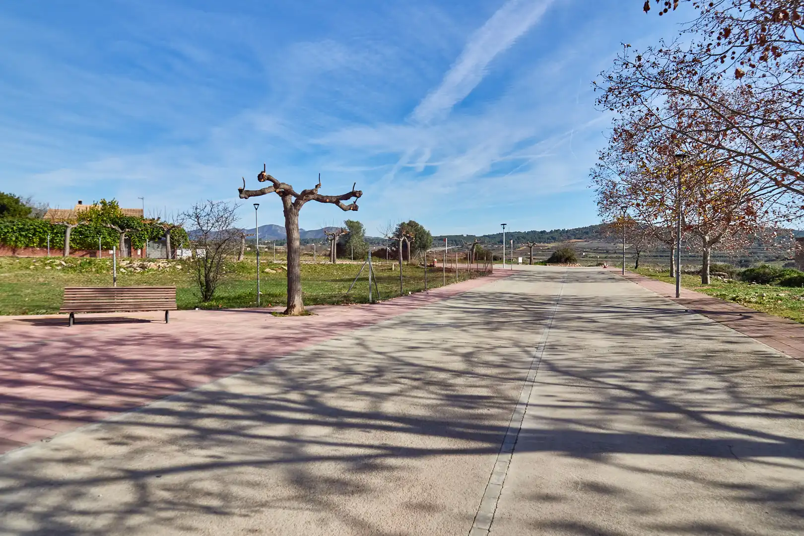 Villa à vendre à Carrer Pau Casals, imagen 9