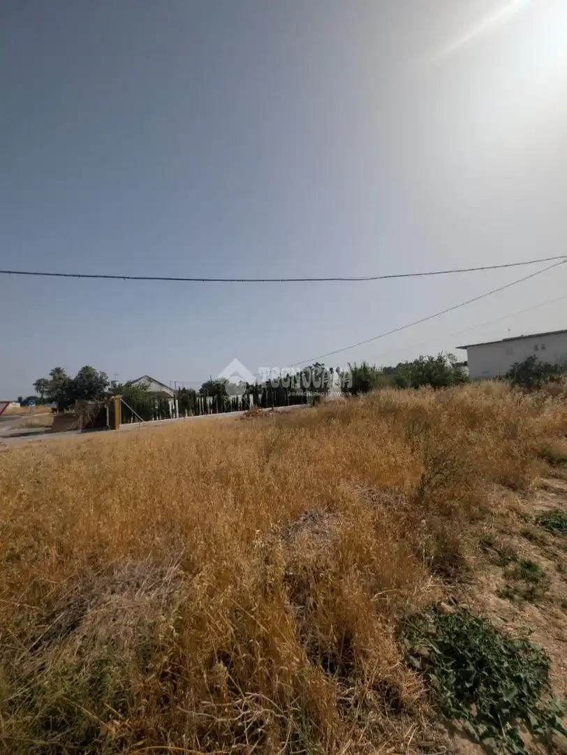 Rural land for sale in El Rocío - La Milagrosa, imagen 13