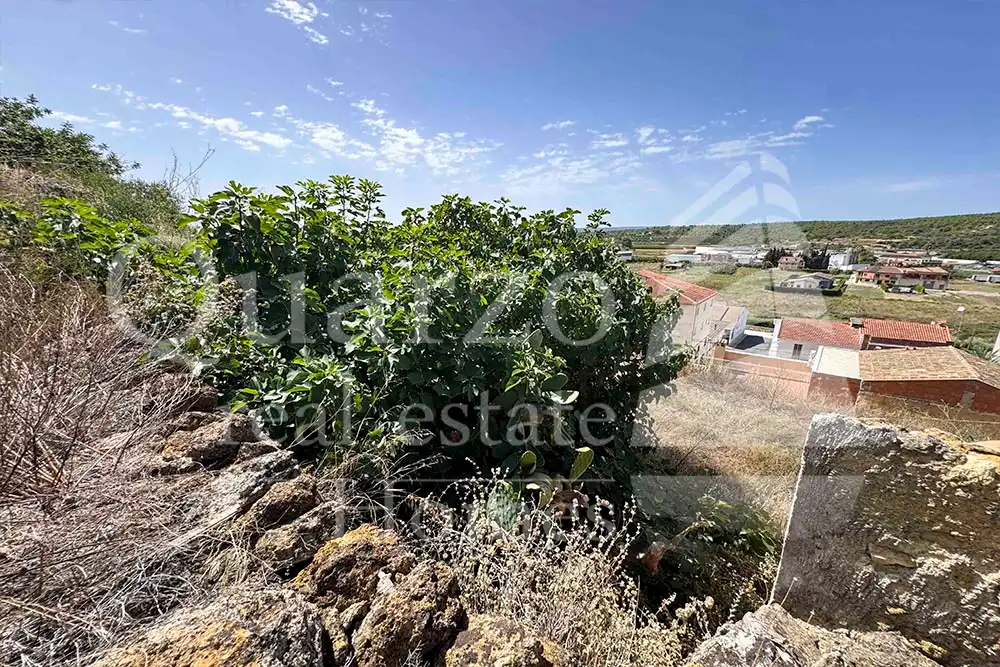 House with garden for sale in Calle Proyecto Número 3, imagen 12
