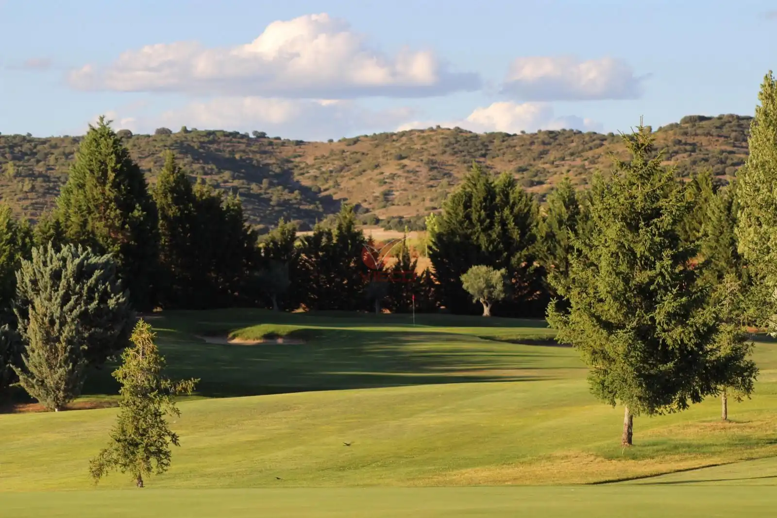 Terreny residencial en venda a VILLAR DE OLALLA GOLF, imagen 3