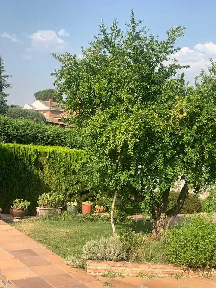 Casa o chalet en venta en Cuenca, Peñas Albas - Zulema