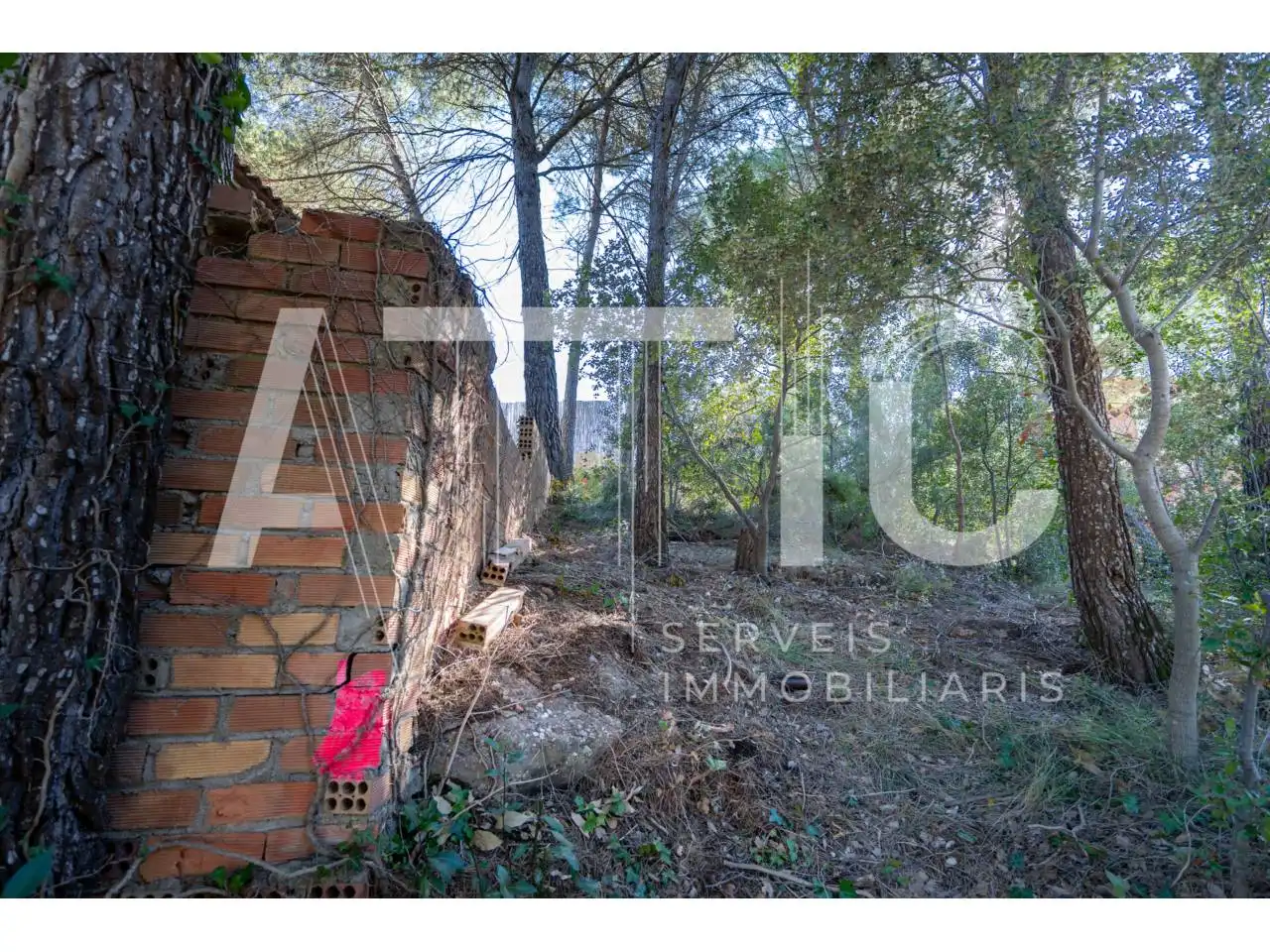 Residential land for sale in Calle Avet, imagen 9