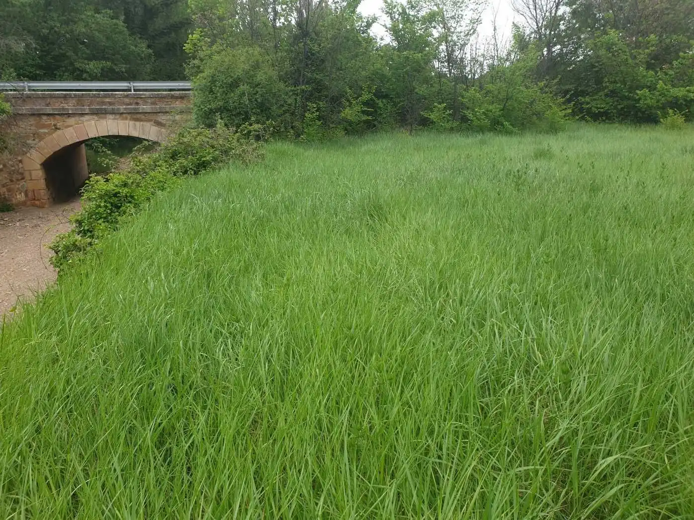 Terreno en venta en Munébrega
