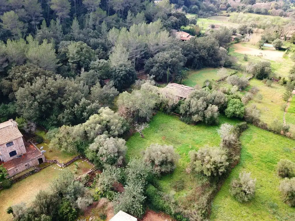 Maison rustique avec jardin à vendre à Pollença Poble, imagen 7