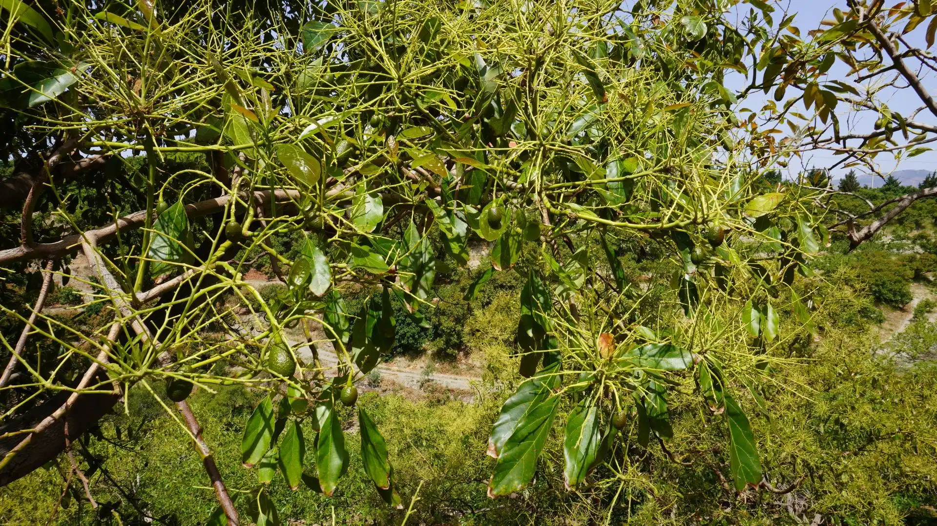 Terreni e lotti in vendita a de Pataura 18, imagen 58