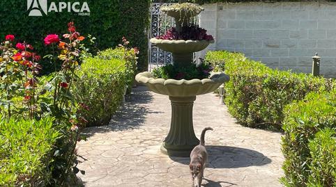 Photo 4 of House or chalet for sale in Los Barrios, Cádiz