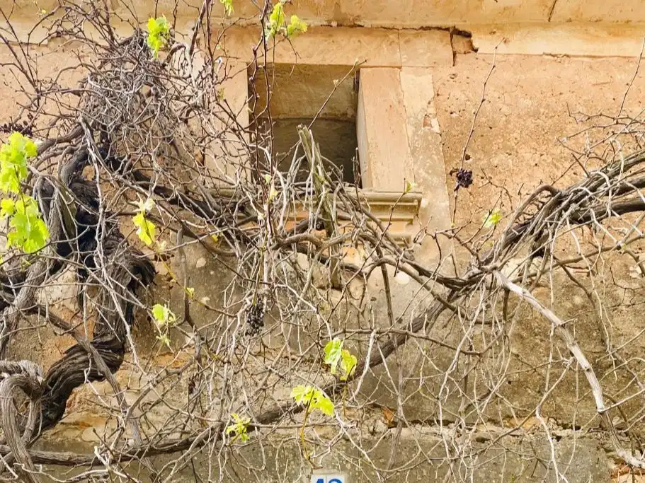 Reihenhaus mit Garten zum Verkauf in Carrer Antoni Vidal 11, imagen 6