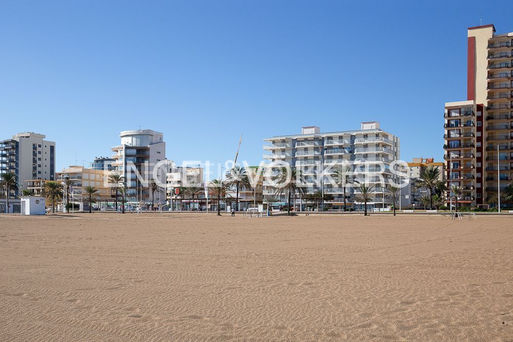 Vista exterior de Àtic de lloguer en Gandia amb Aire condicionat, Calefacció i Parquet