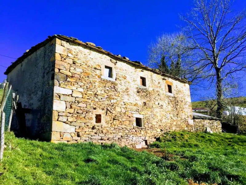 Vista exterior de Casa o xalet en venda en Tineo amb Jardí privat i Traster