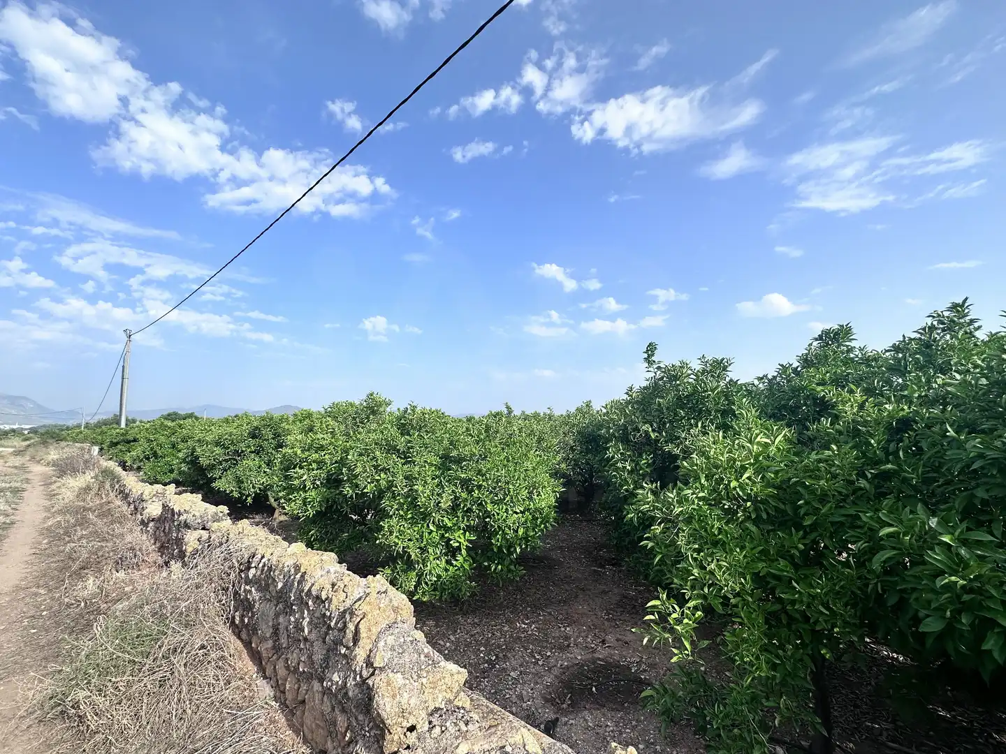 Terreno rustico in vendita a Pego, imagen 4