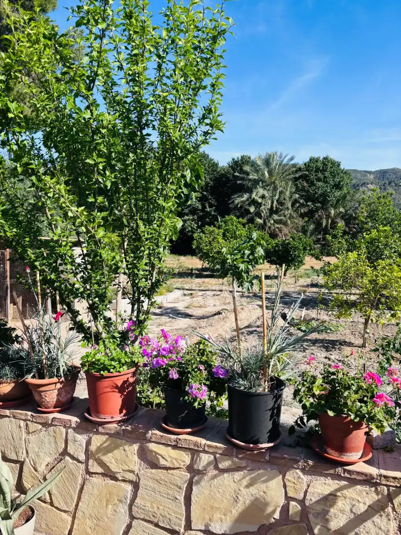 Haus oder Chalet zum Verkauf in Murcia mit Möbliert