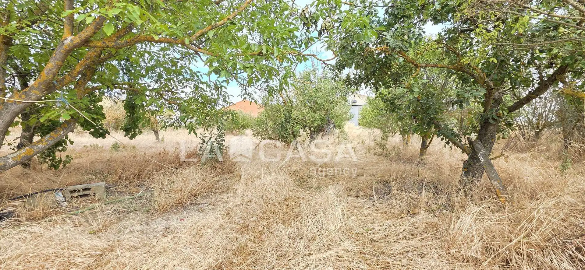 Residencial en venta en Meneses de Campos, Palencia