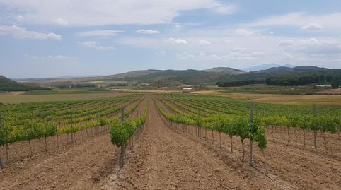 Solvia Inmobiliaria  Suelo Rústico Grávalos, immagine 5