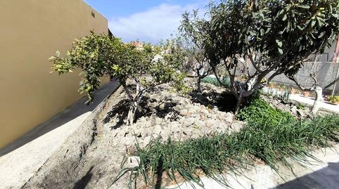 Foto 5 de Finca rústica en venda a Playa de Granada, Motril