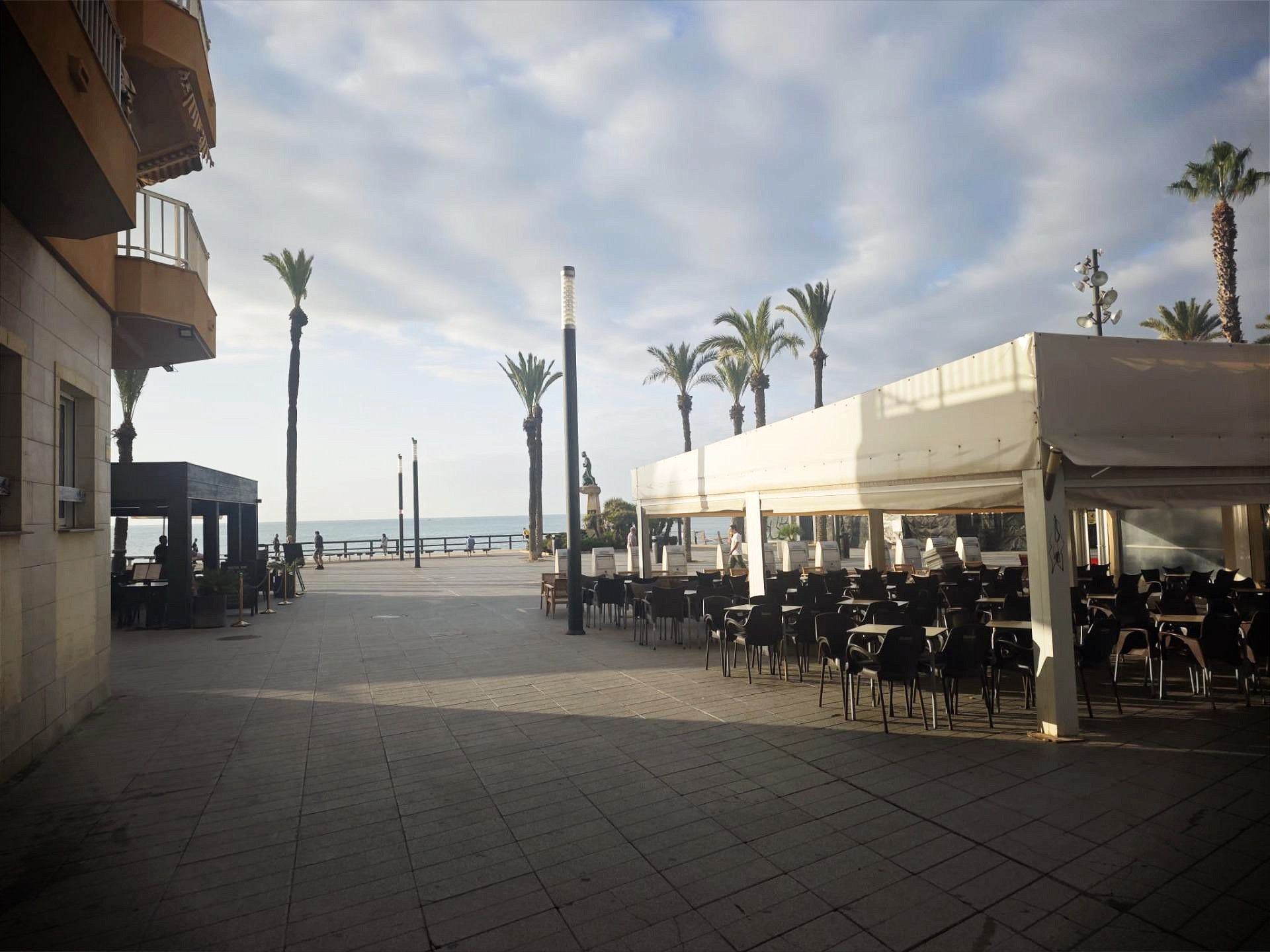 Piso de alquiler en Torrevieja con Jardín privado y Balcón