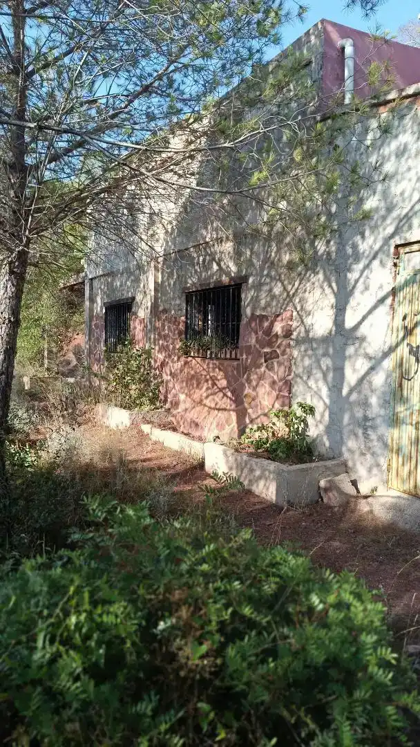 Vista exterior de Pis en venda en Gilet amb Jardí privat, Traster i Moblat