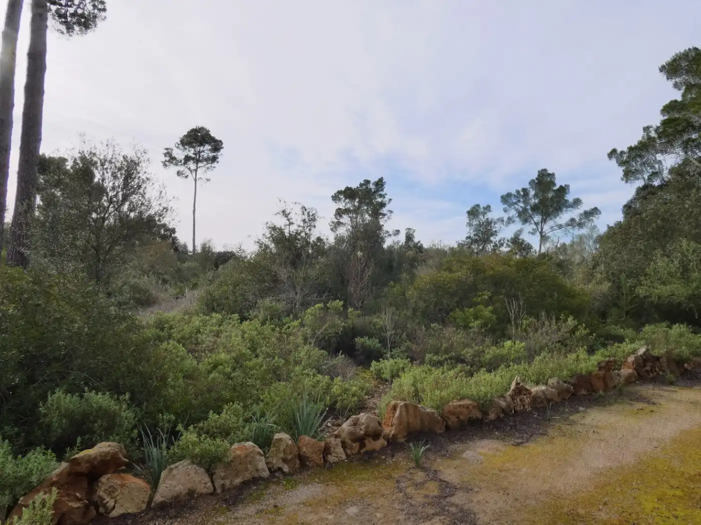 Casa o chalet en venta en Porreres