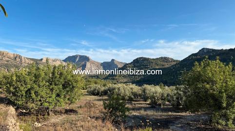 Foto 4 de Terreno en venta en Casas Ibañez, 9, Tàrbena, Alicante