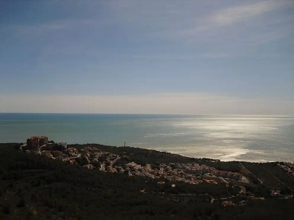 Rural land for sale in CL Isla Mancolibre, imagen 12